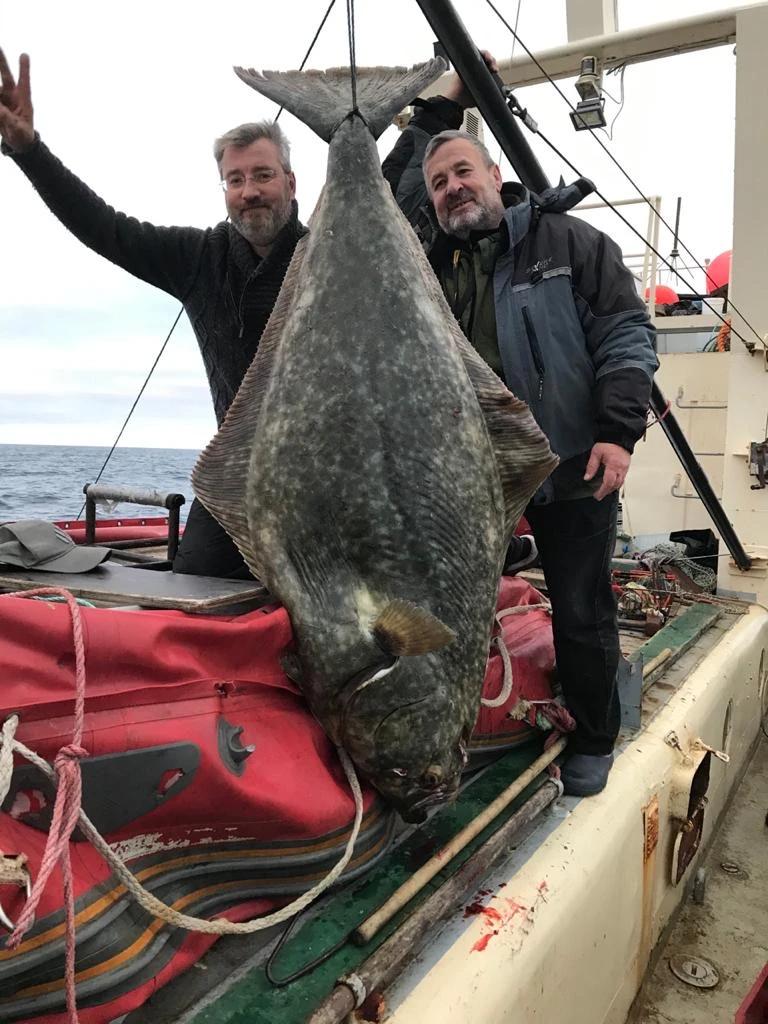 Гигантский палтус, пойманный в Баренцевом море